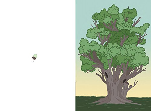 L’Ippocampo Prima Dopo libro illustrato senza parole