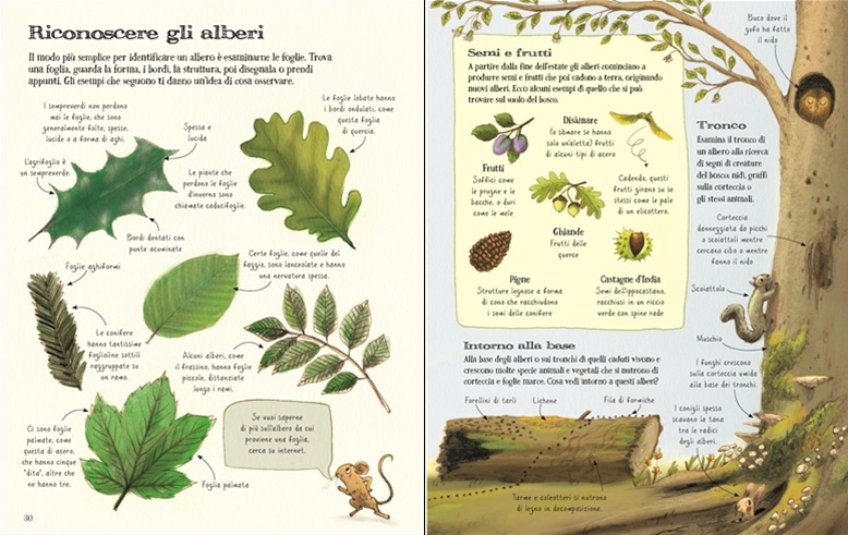 Vita all’Aperto Libro Bambini Copertina Rigida 4+ Anni