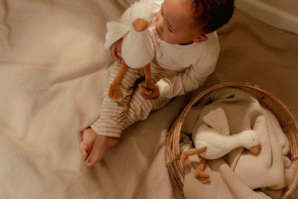 Little Dutch Little Goose cesto regalo neonato beige 4 pezzi