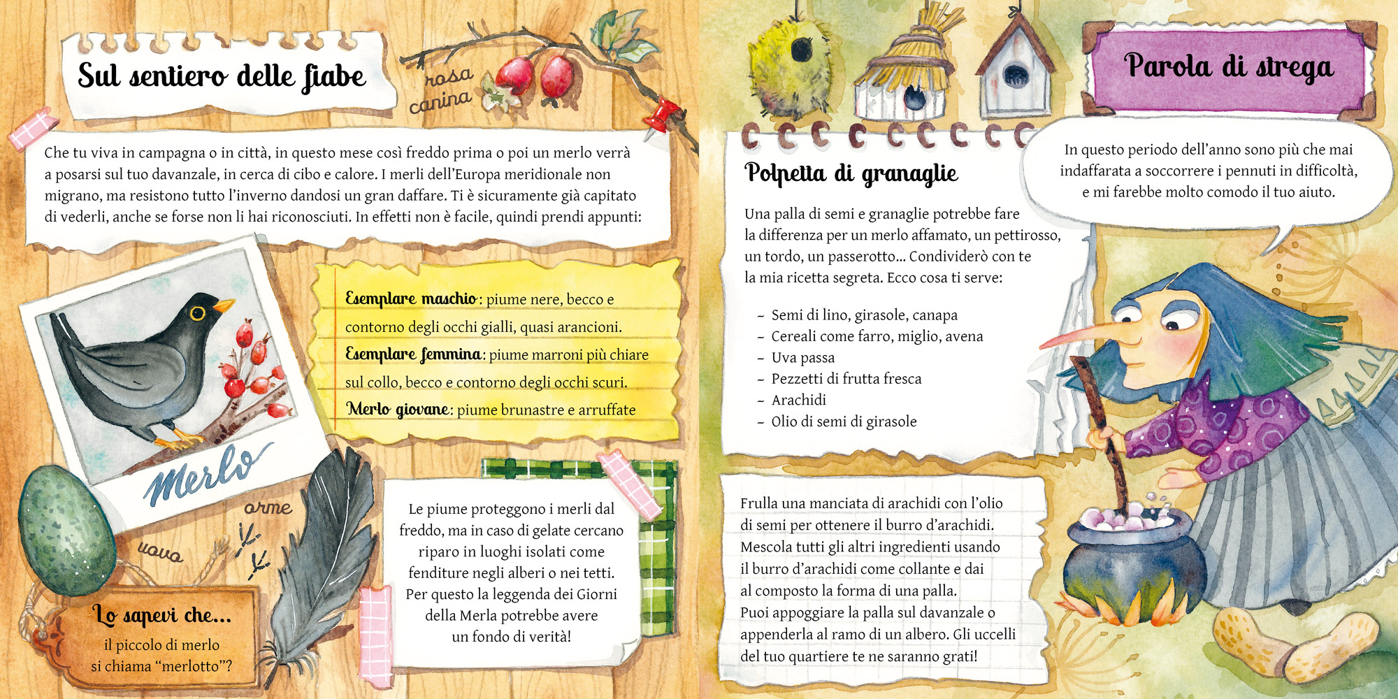 Mimebù L’almanacco delle stagioni libro 104 pagine da 4 anni