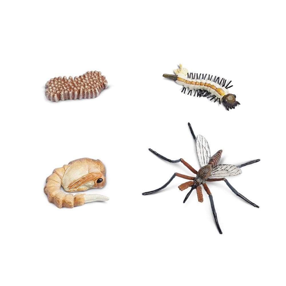 Safari Ltd Zanzara ciclo vita set 4 figure educative
