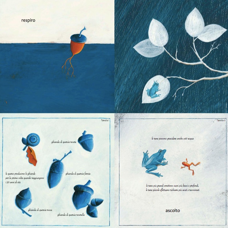 Camelozampa Come un albero libro illustrato 3-6 anni