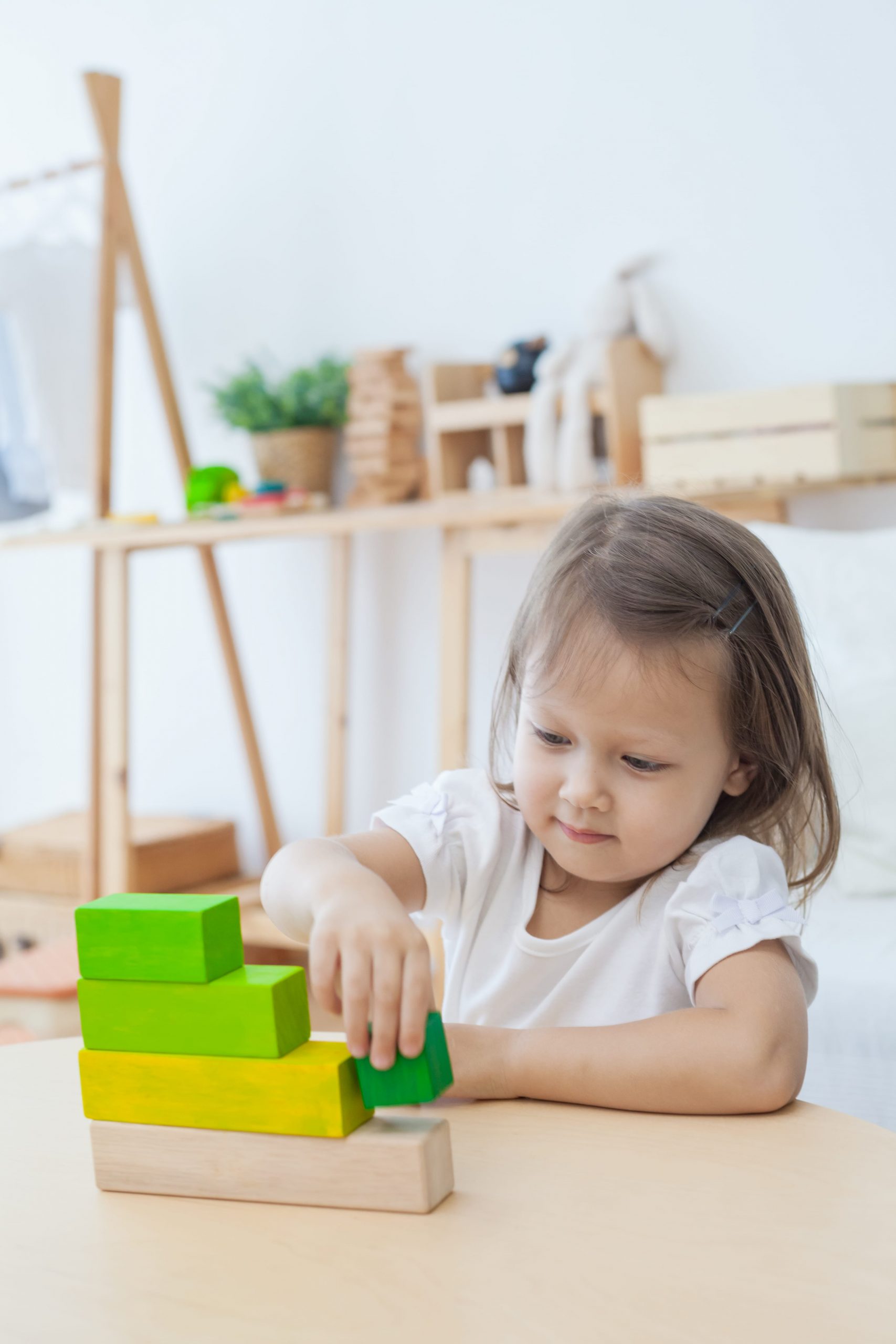 Plan Toys Ordering Blocks gioco matematico in legno