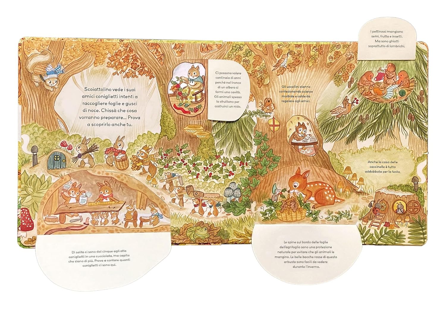Emme Edizioni Amici della Foresta libro con alette