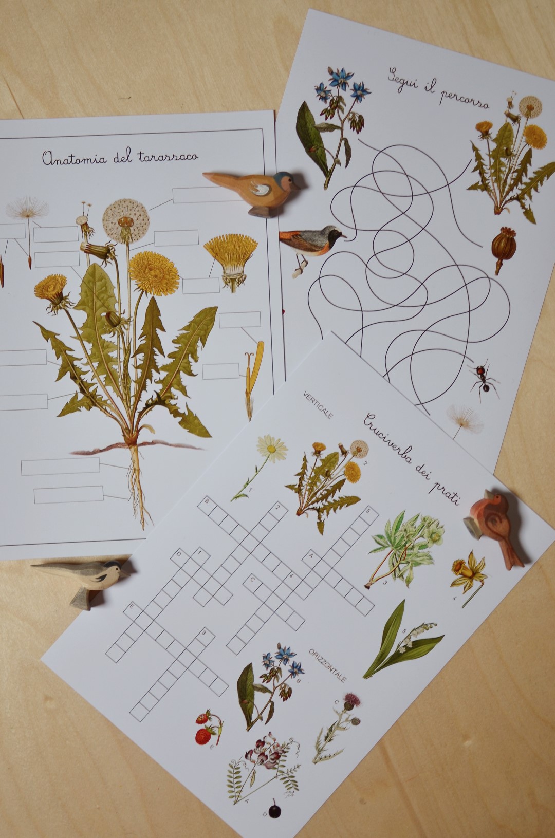 Baboo Erbe e Fiori carte apprendimento PDF 70 pagine natura
