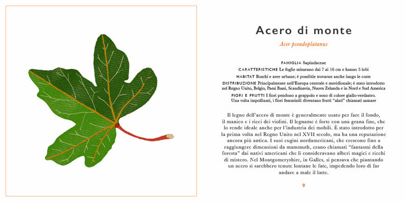 Nomos Piccola guida foglie libro bambini 96 pagine