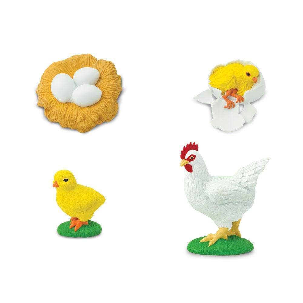 Safari Ltd ciclo vita pollo set 4 figure educative
