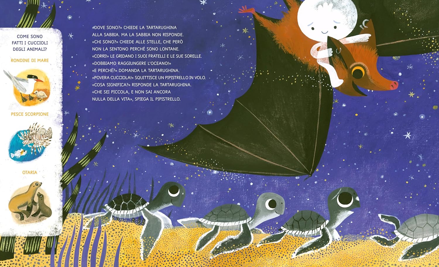 MIMEBÙ Cucù Racconta La Tartaruga Marina libro 3-6 anni