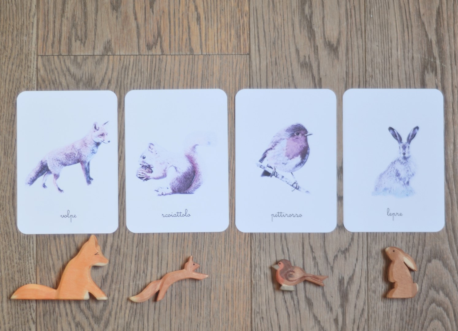 Baboo Animali del bosco carte nomenclature PDF 12 carte corsivo
