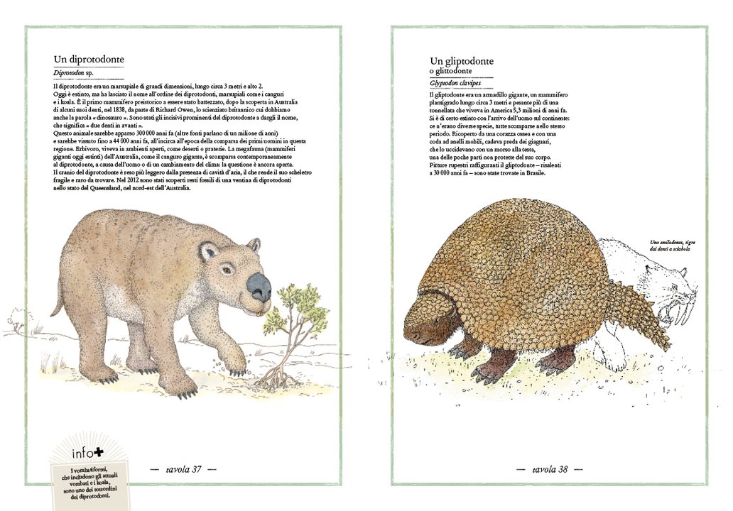 L'Ippocampo Inventario Illustrato Preistoria libro cartonato 6-9 anni