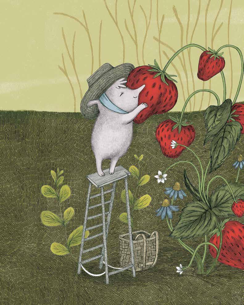 Terre di Mezzo La pazienza ama le fragole libro 74 pagine