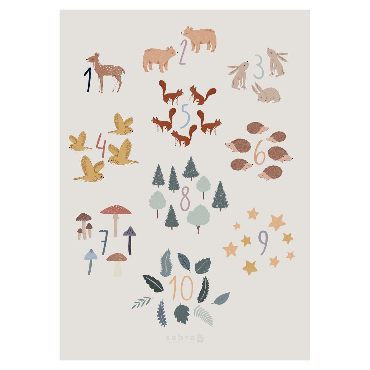 Sebra Nel bosco numeri 1-10 poster 50x70 opaco
