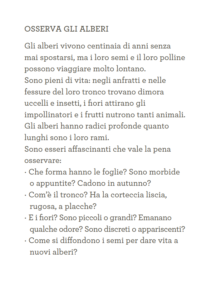 Terre di Mezzo Il Mondo in Tasca Alberi guida 44 pagine