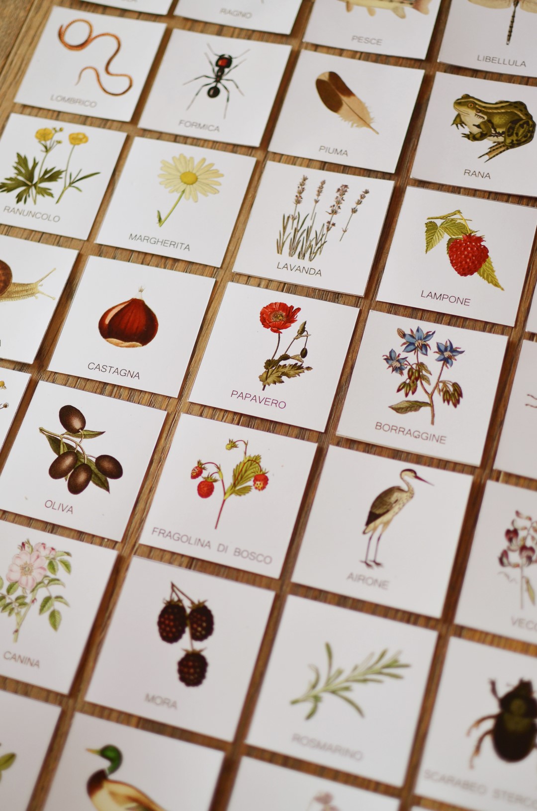 Baboo Erbe e Fiori carte apprendimento PDF 70 pagine natura