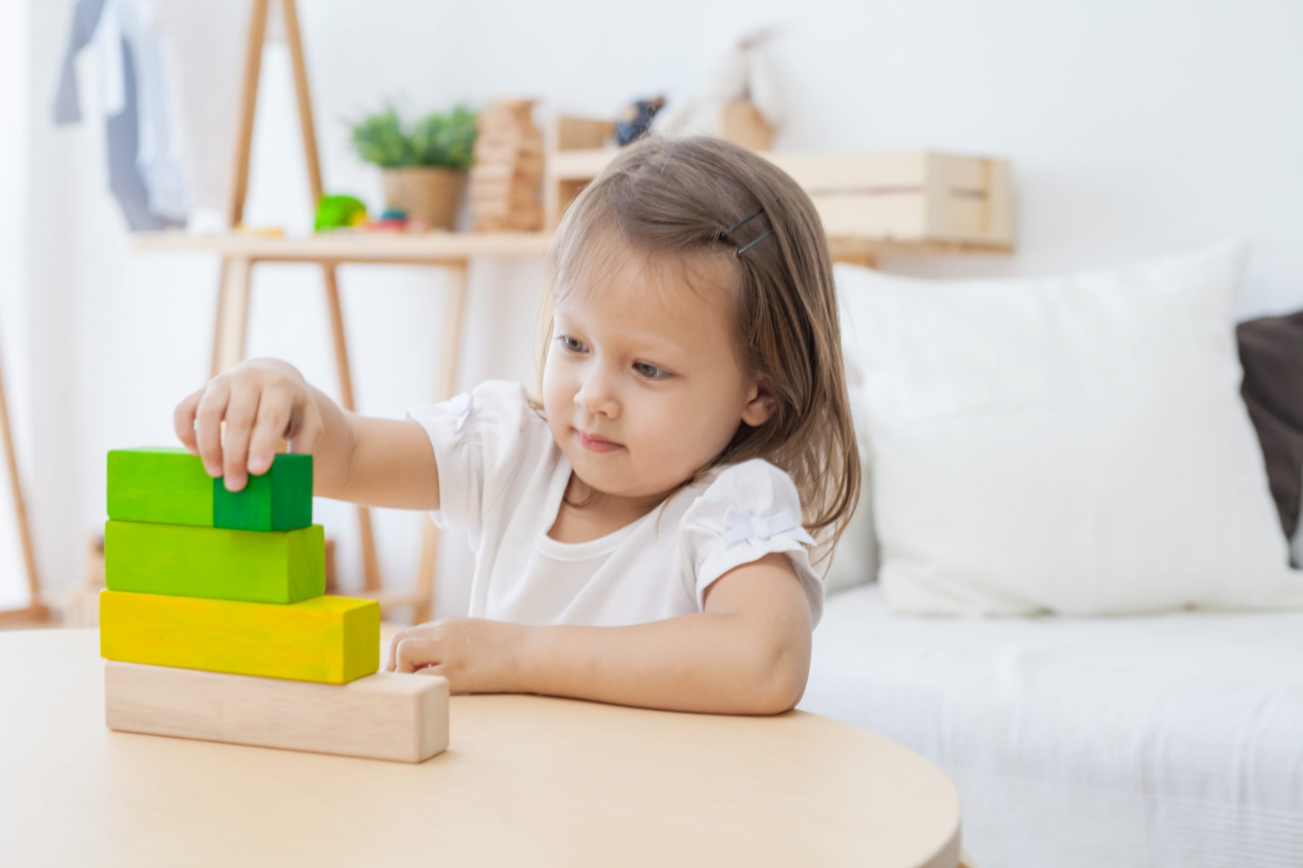 Plan Toys Ordering Blocks gioco matematico in legno