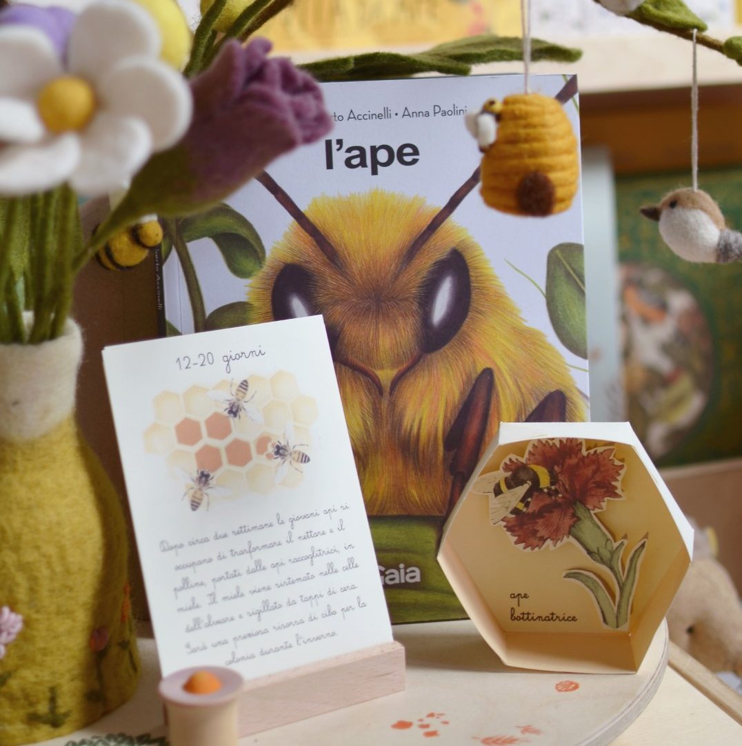 Baboo PlayKit Ape e Fantasma Alveare kit sensoriale