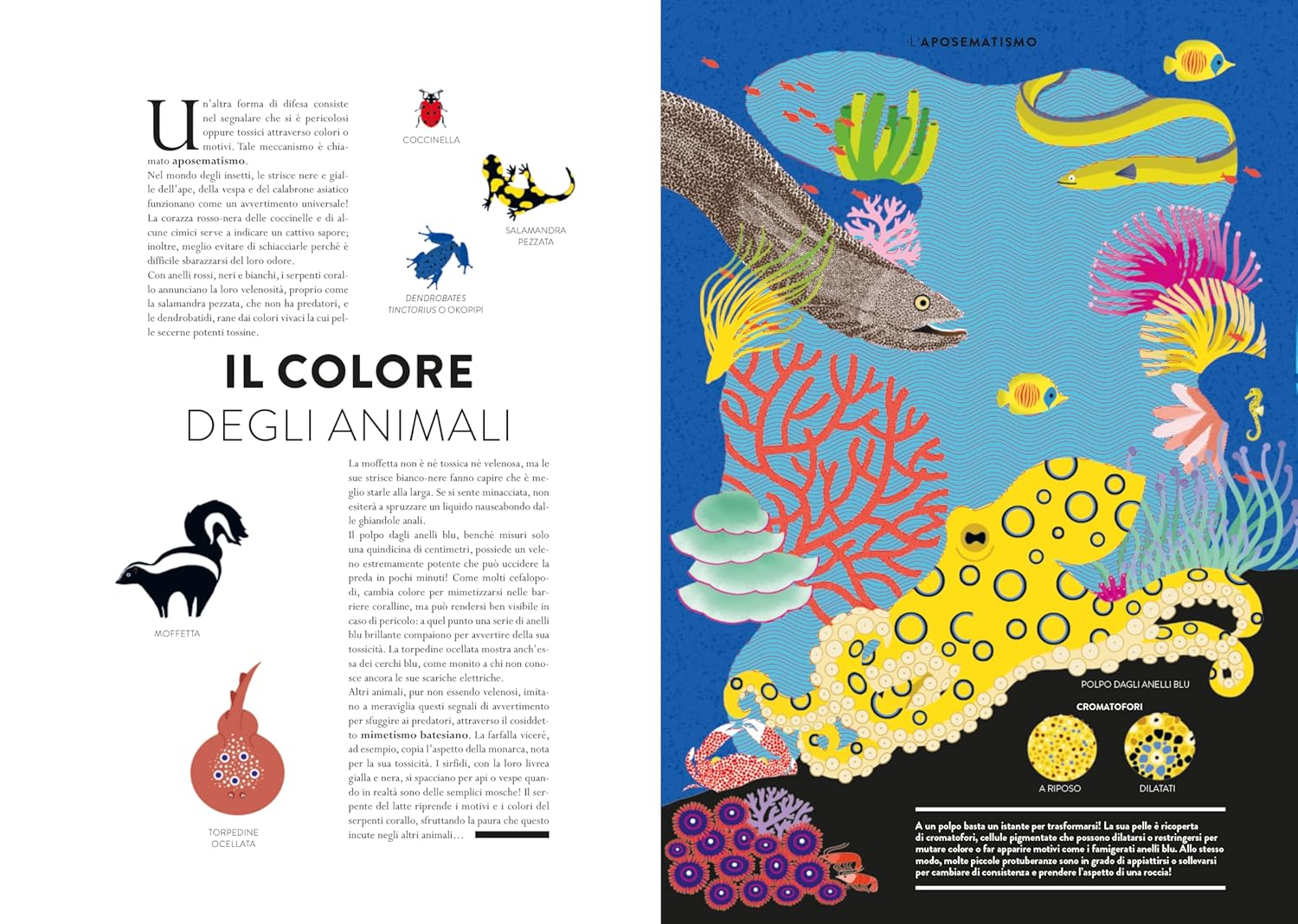 Ippocampo mondo animale libro animato 48 pagine