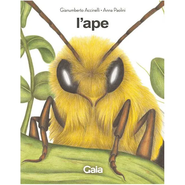 Logos Gaia L'ape e il fantasma dell'alveare libro illustrato