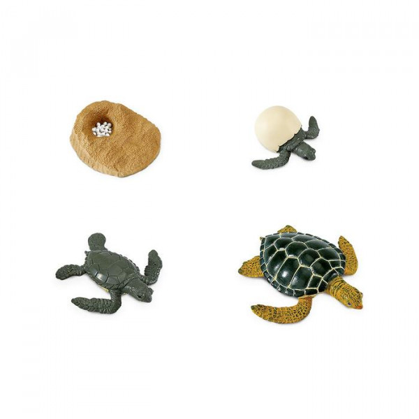 Safari Ltd Safariology Tartaruga Marina set 4 figure