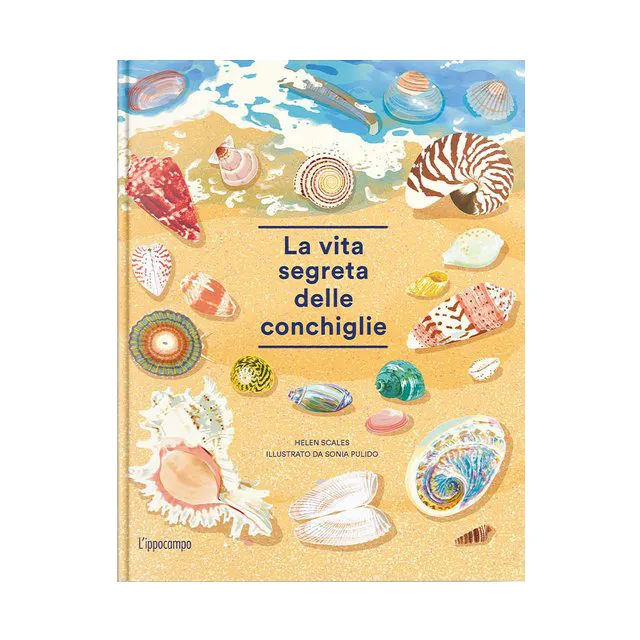 L'Ippocampo Vita segreta delle conchiglie libro dai 6 anni