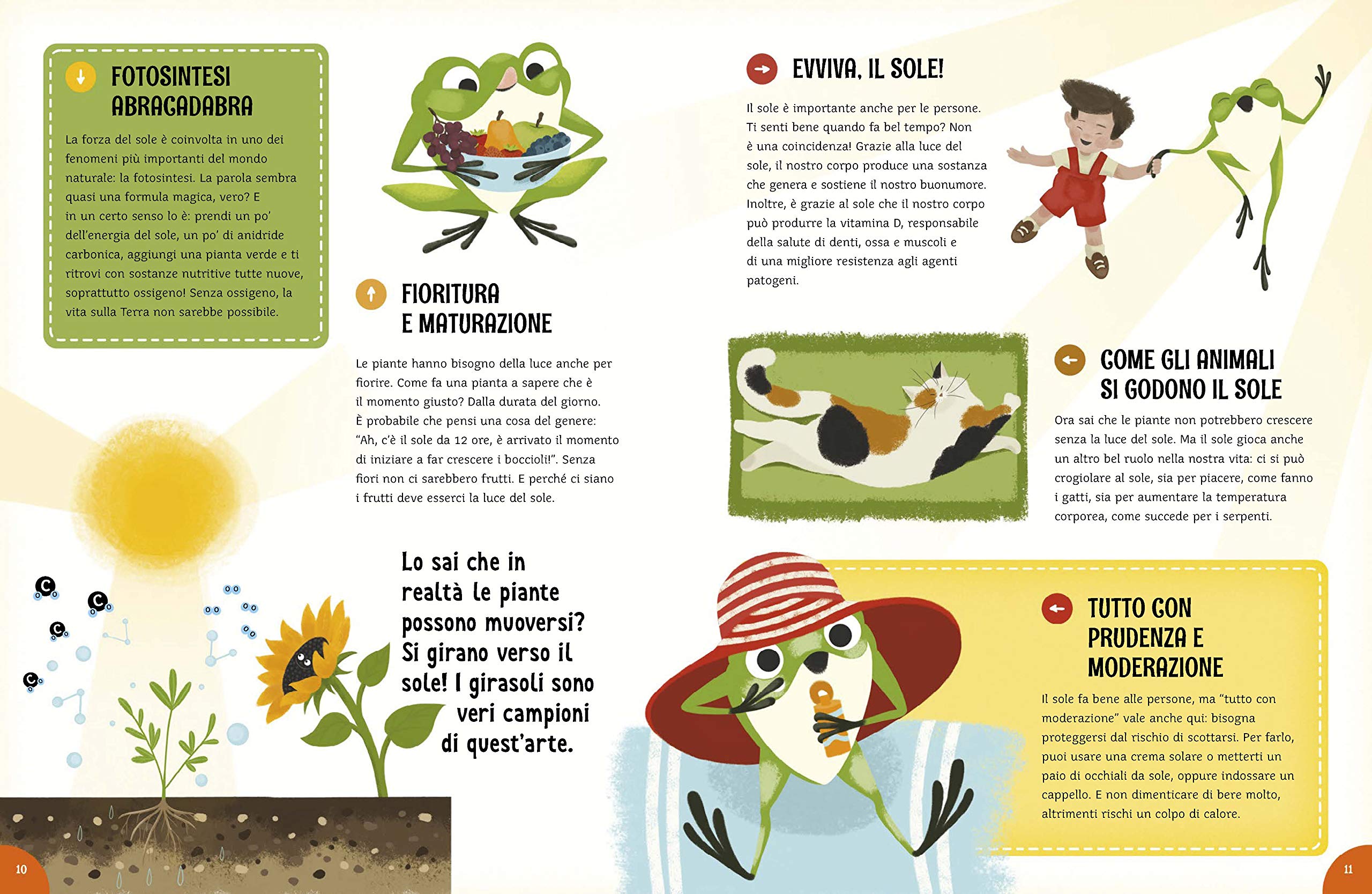 IdeeAli Che tempo! libro bambini 48 pagine