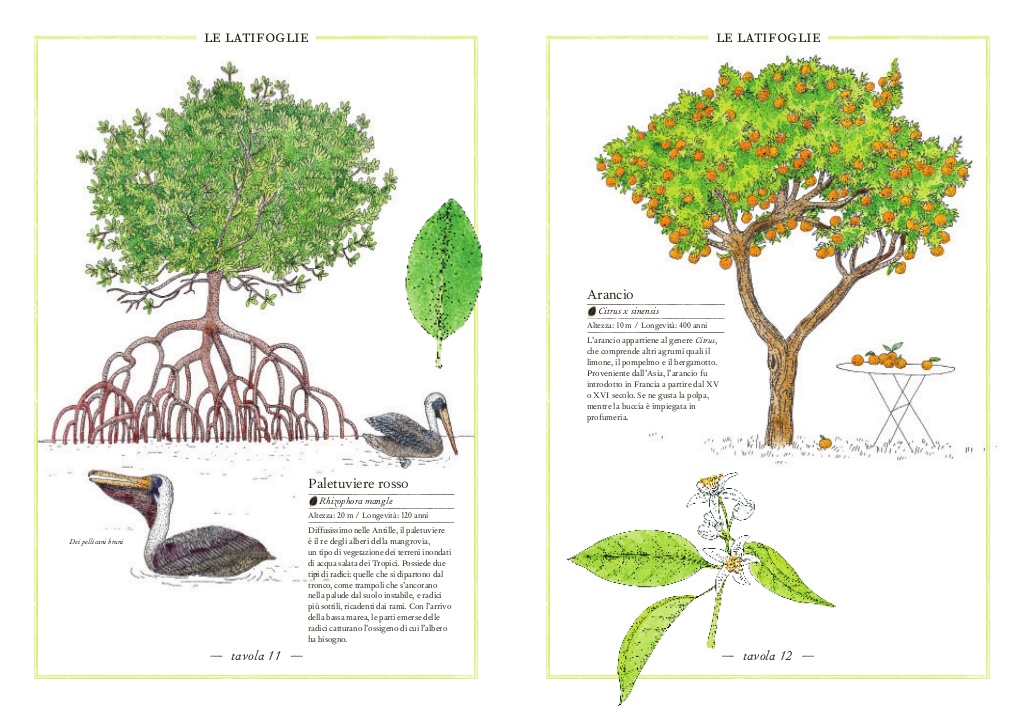 L'Ippocampo Inventario Alberi libro illustrato 72 pagine