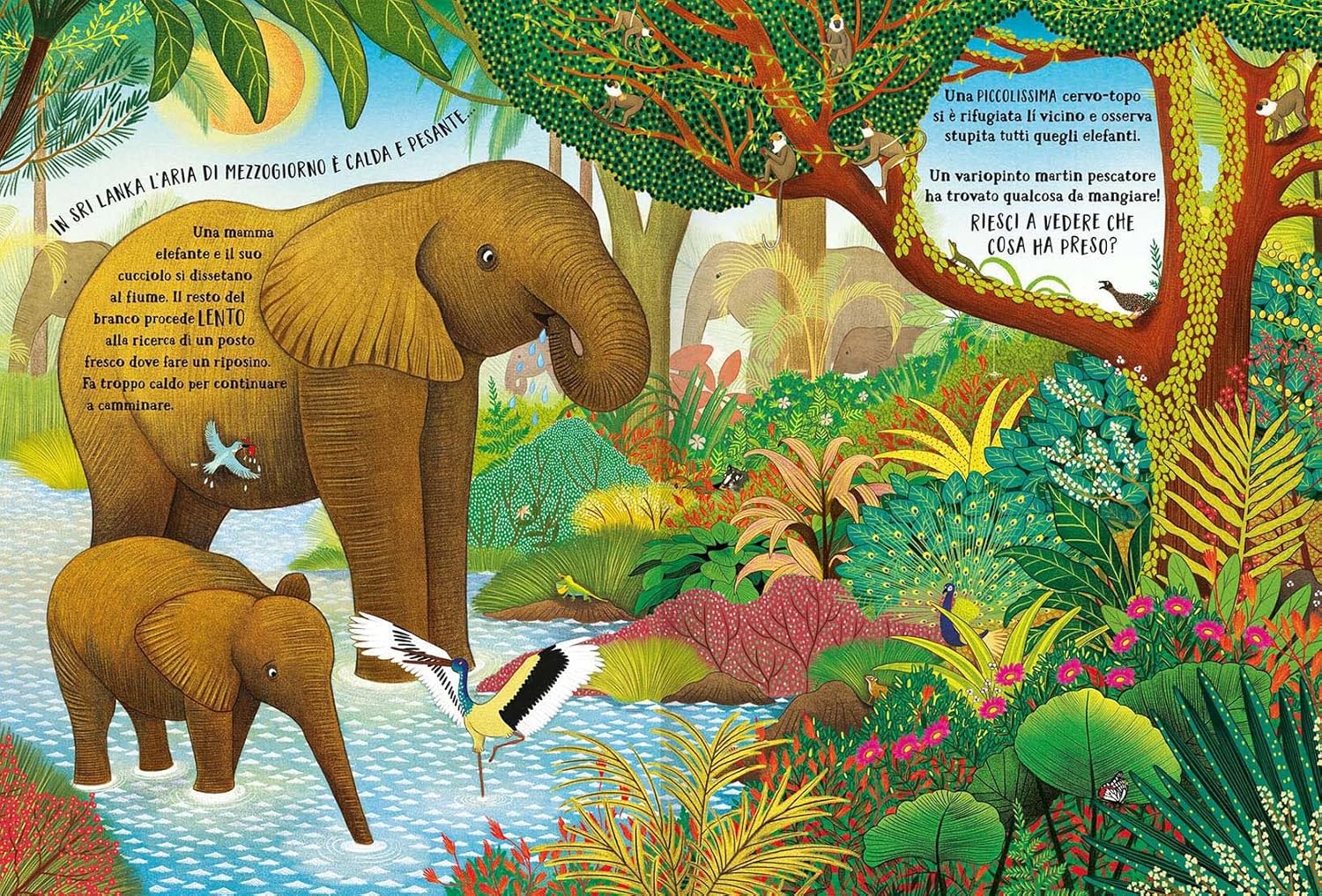 Emme Edizioni La giungla segreta libro bambini 5 anni rigida