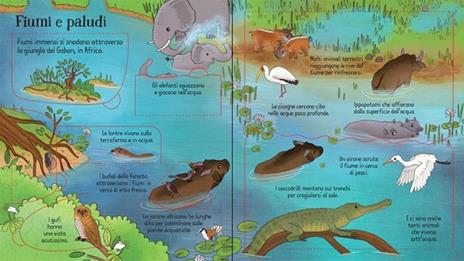 Usborne La giungla libro con alette 80 linguette