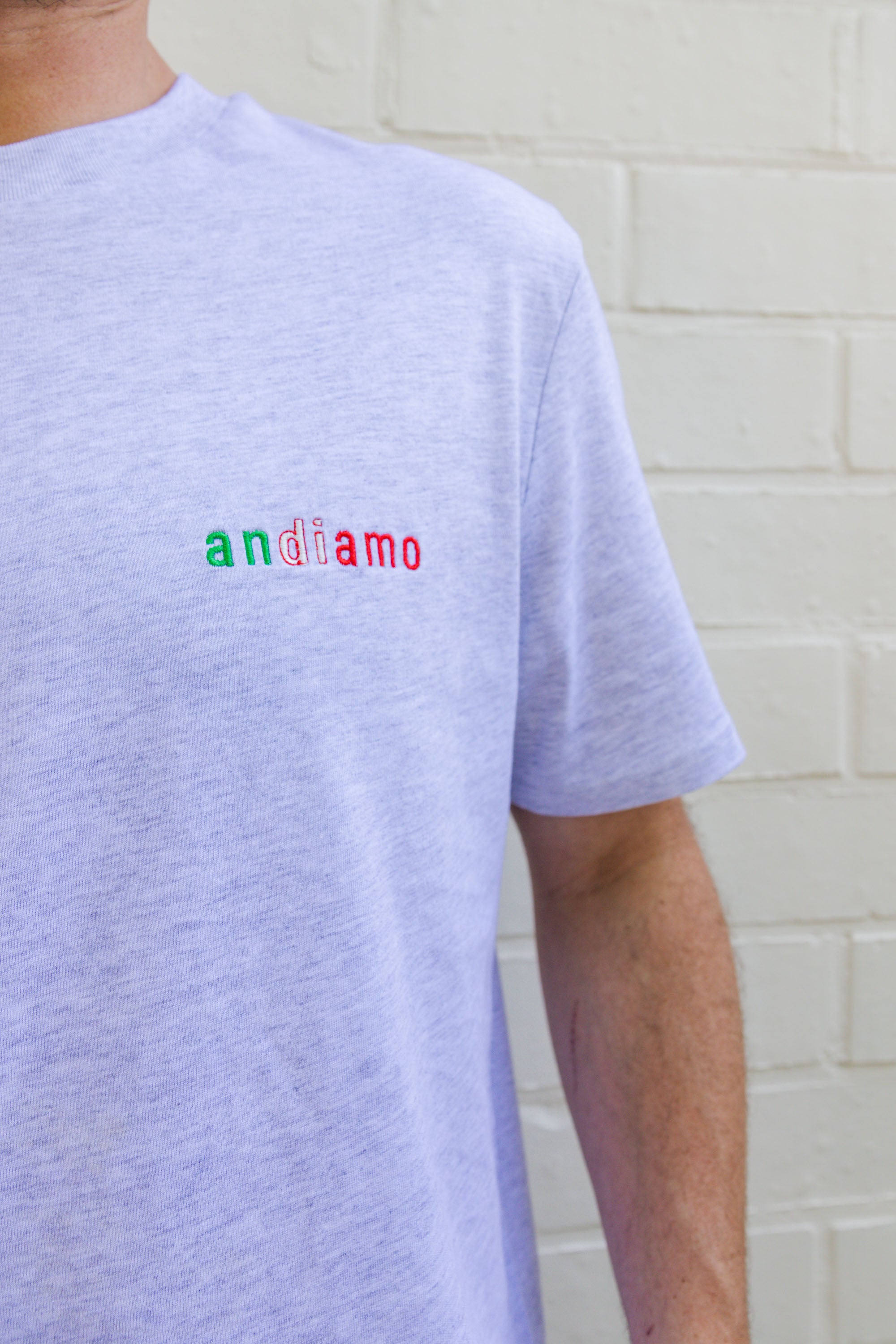 Ella and Rapha Andiamo t-shirt uomo grigia cotone