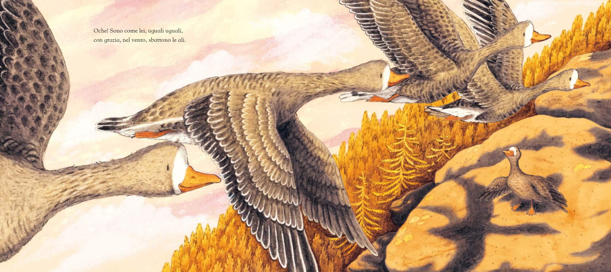 Emme Edizioni L'autunno della piccola oca libro illustrato 3 anni