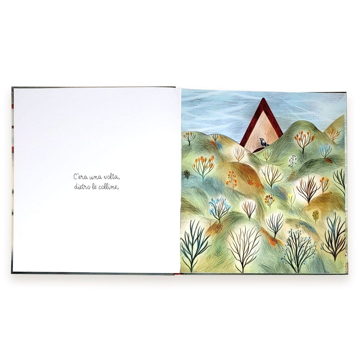 Franco Cosimo Panini Nella valigia libro con alette 3 anni