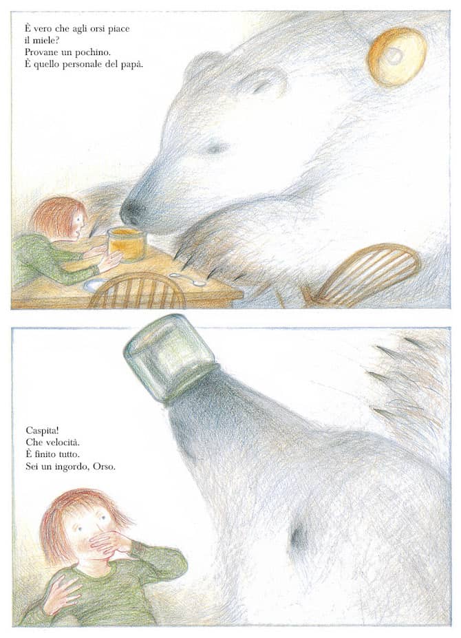 Camelozampa L’Orso albo illustrato Briggs