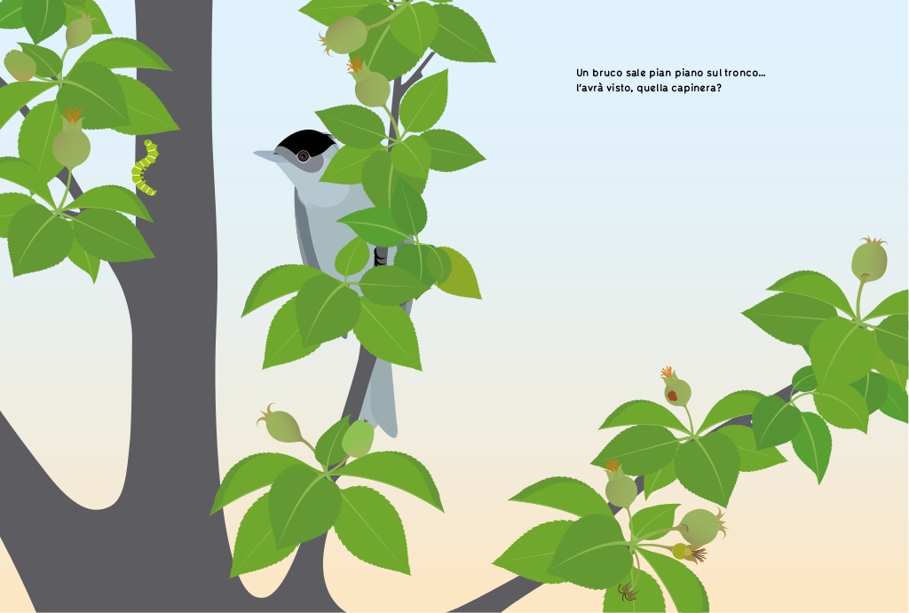 L'Ippocampo Ramo di melo libro bambini quattro stagioni