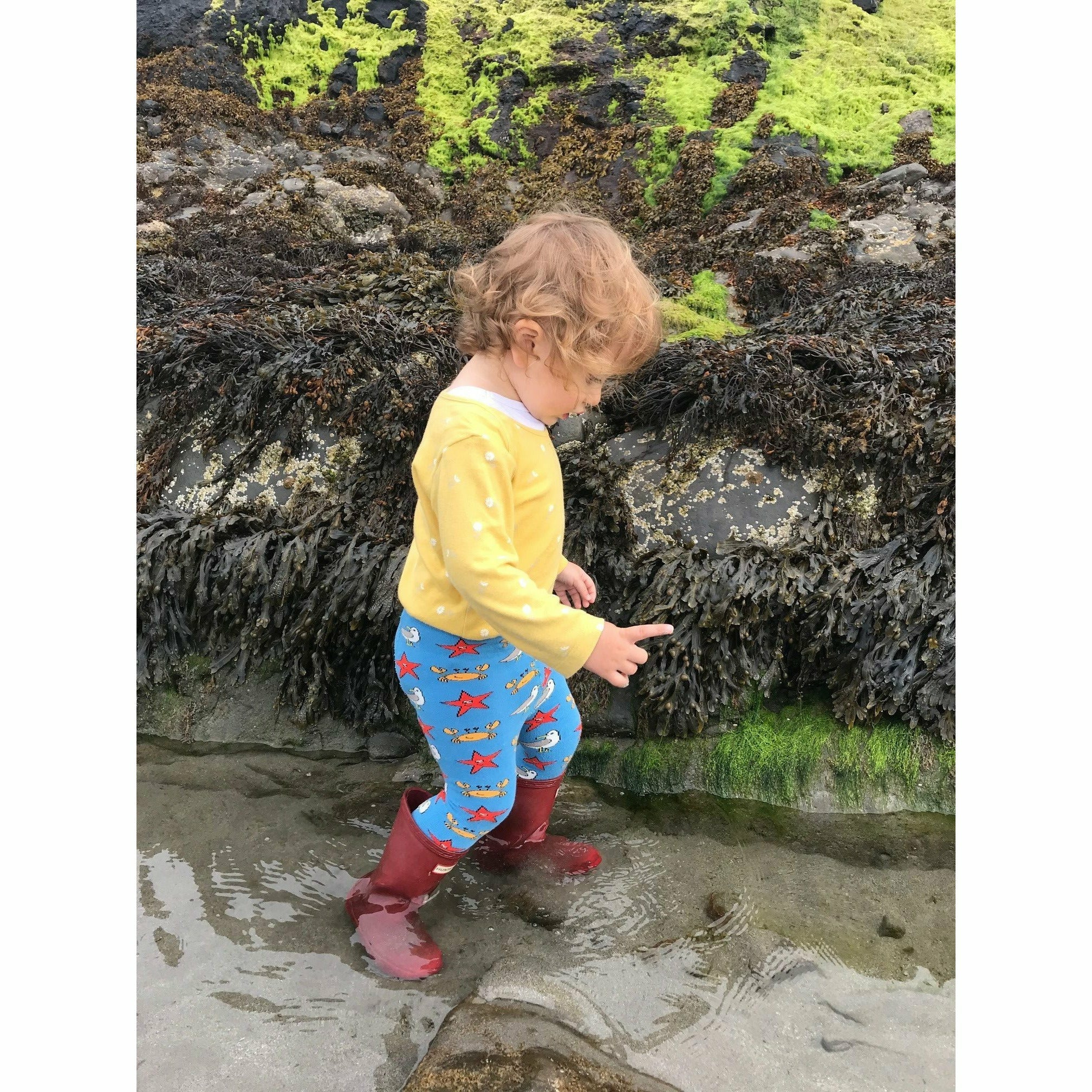 Slugs & Snails Seaside collant bimbo blu gabbiani cotone bio