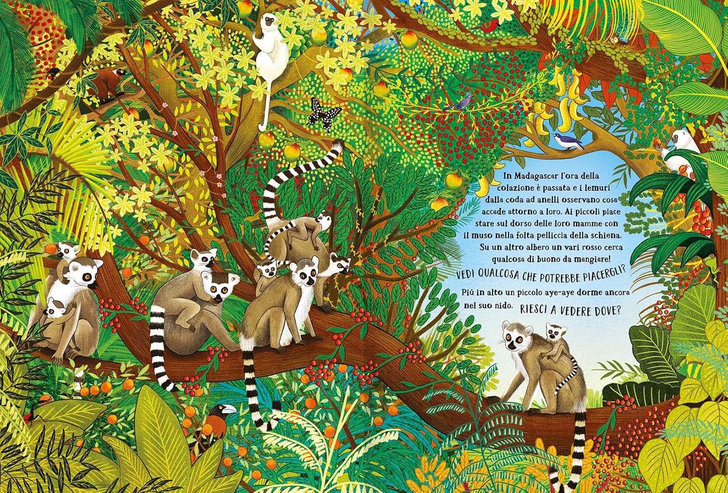 Emme Edizioni La giungla segreta libro bambini 5 anni rigida