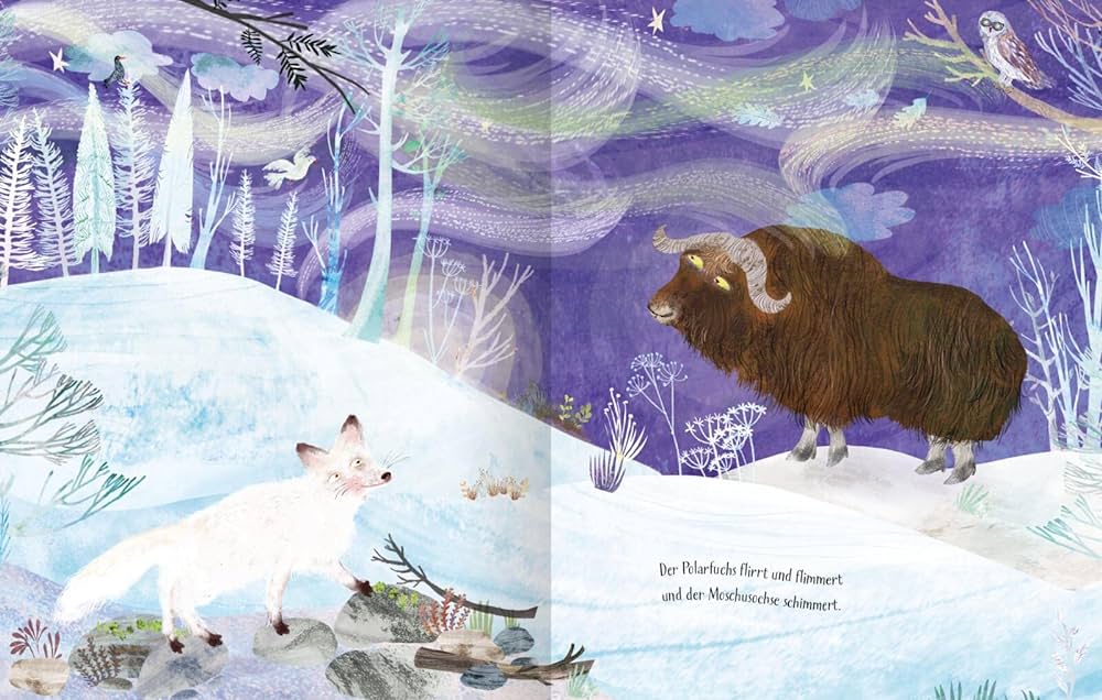 Gallucci Lilliput Siamo le luci libro bambini aurora boreale
