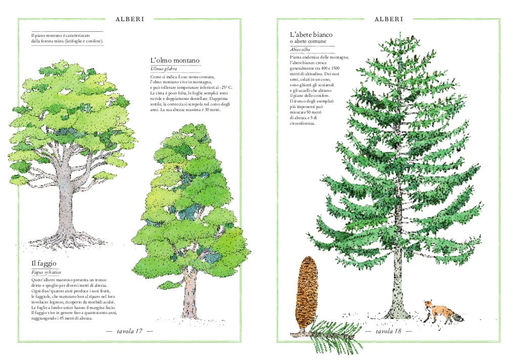 L’Ippocampo Inventario Illustrato della Montagna libro 6-9 anni