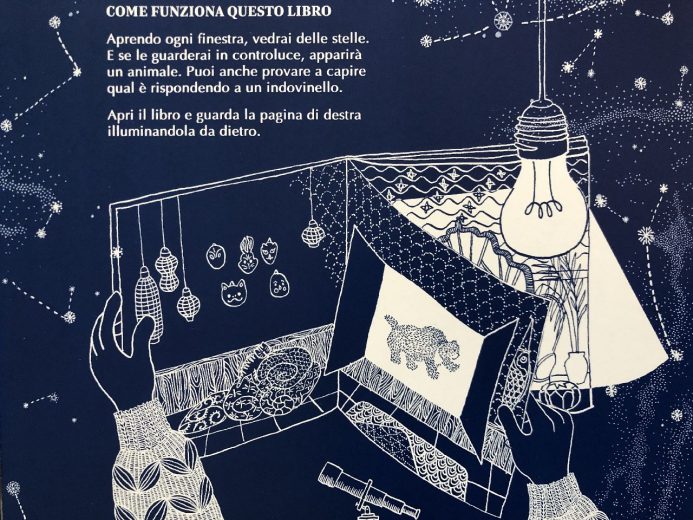 Camelozampa Nascosti nel cielo libro finestrelle 6 anni