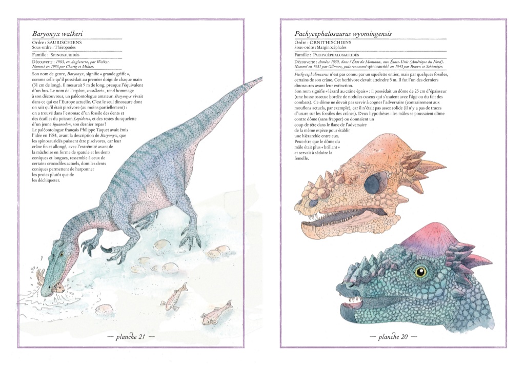 L'Ippocampo Inventario illustrato dei dinosauri libro cartonato
