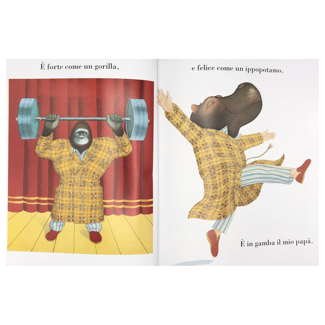 Donzelli Il mio papa La mia mamma libro illustrato 56 pagine