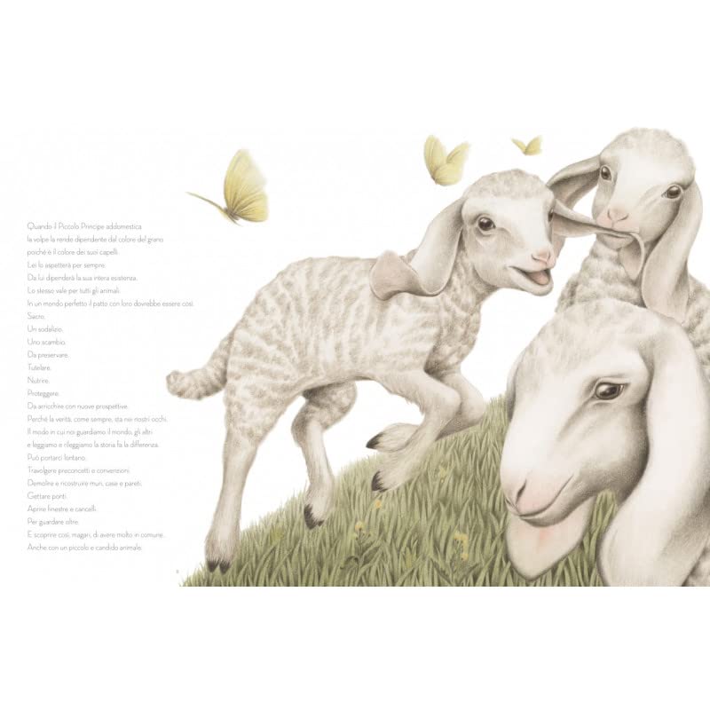 Logos La Pecora libro illustrato bambini natura