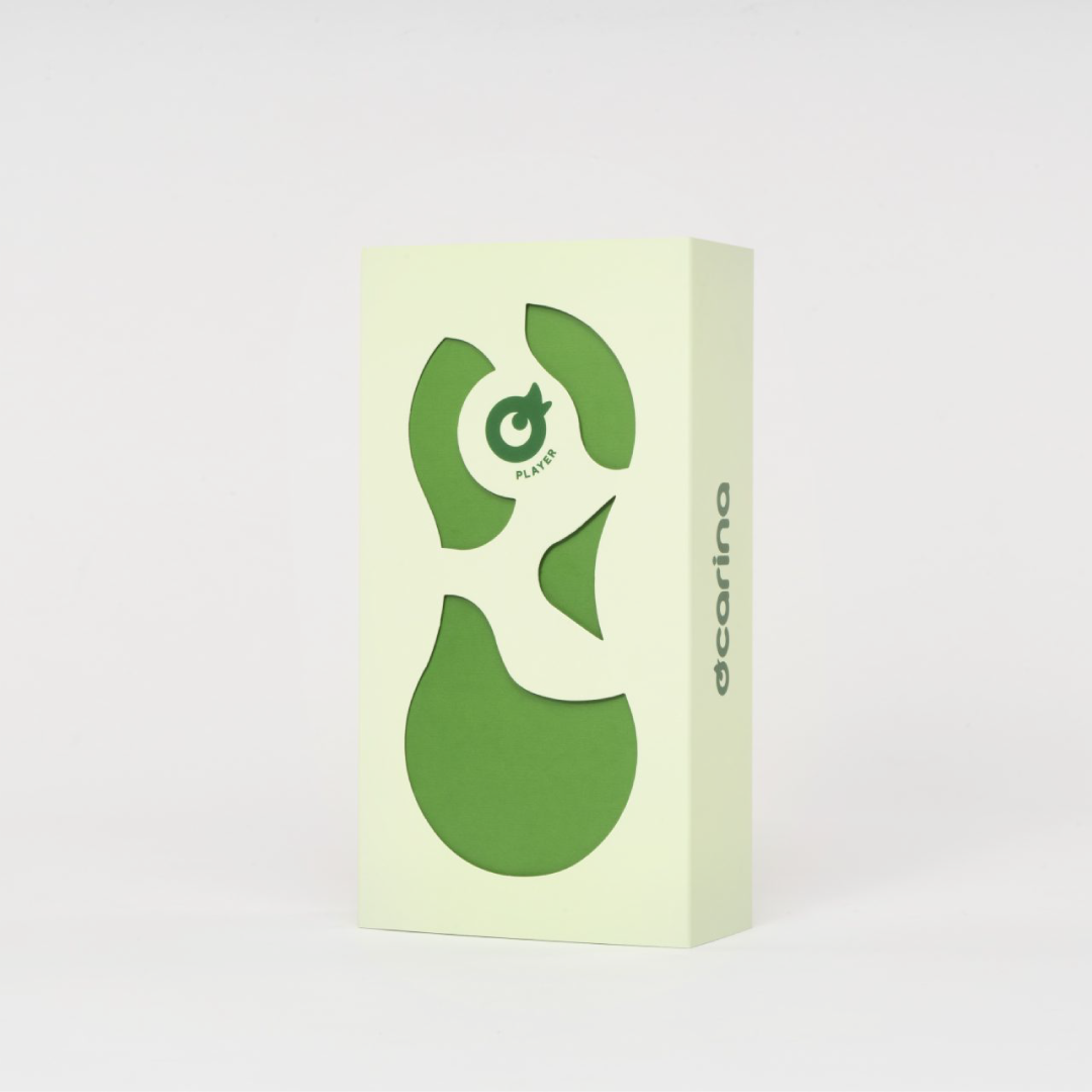 Ocarina 8GB lettore MP3 bambini verde con registratore