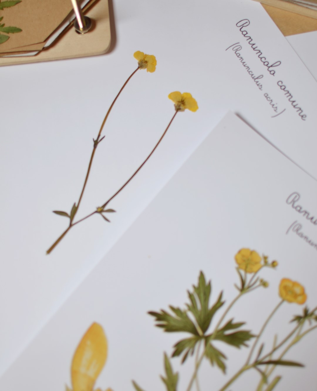 Grapat Flower Meadow fiori legno 18 pezzi