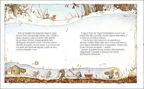 EL Boscodirovo Storia d'inverno libro da 5 anni