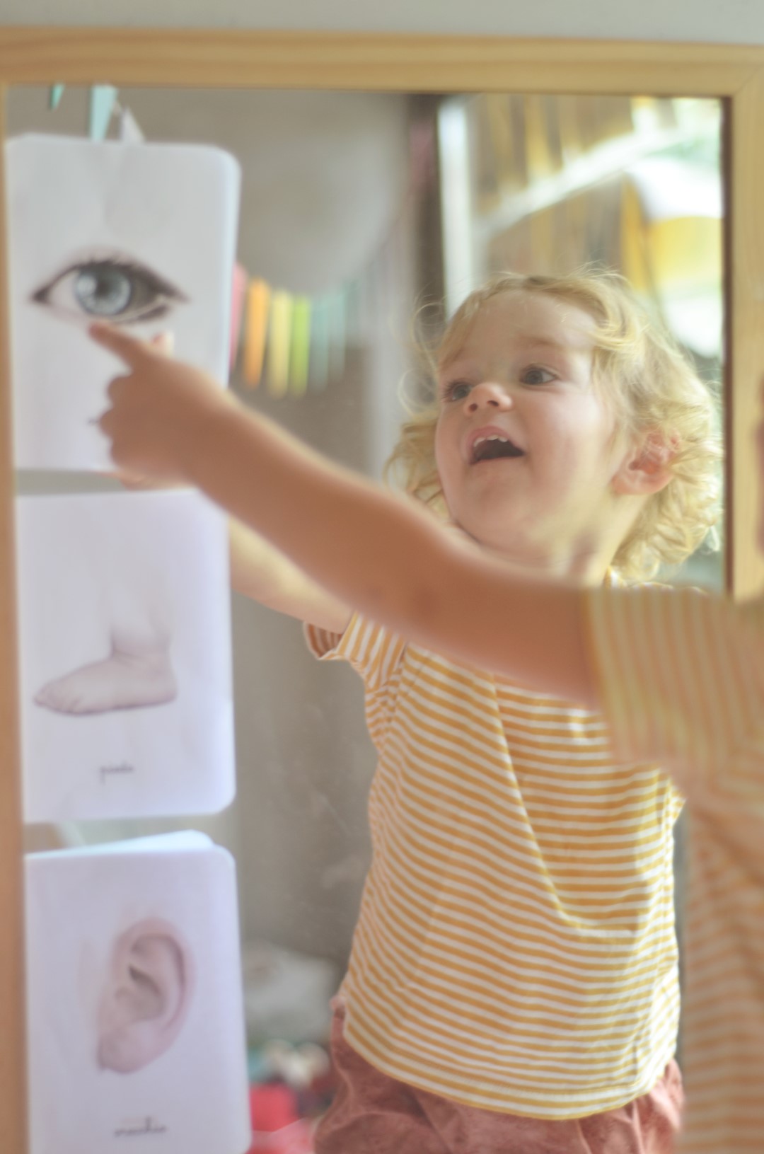 Carte nomenclature corpo umano PDF Montessori 27 carte A4
