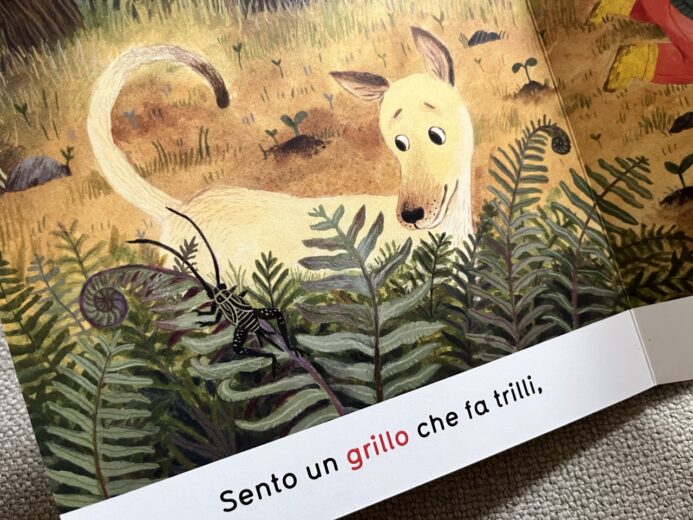 Marameo Ciao libro cartonato 0-36 mesi