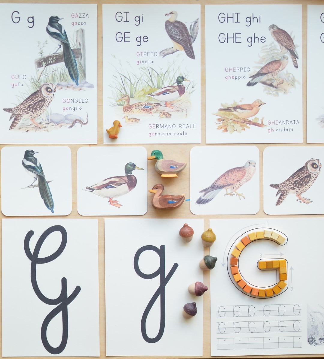 Baboo Abecedario lettera G PDF scaricabile ghiandaia