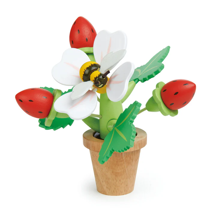 Tender Leaf Strawberry set giardinaggio fragole legno