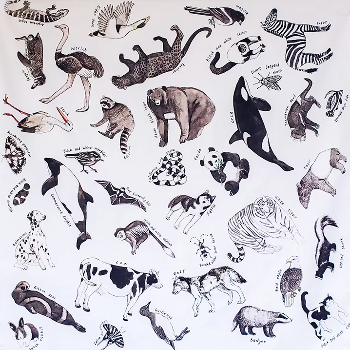 Wonderie Animali del Mondo telo gioco 100x100 cotone bio