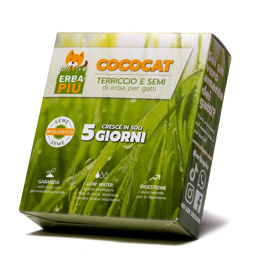Cococat Erbapiù kit coltivazione erba gatta